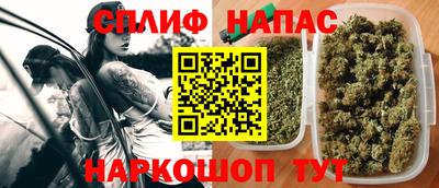 твердый Бийск