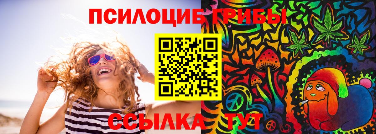 Псилоцибиновые грибы мухоморы  Вход с VPN  Камышлов 