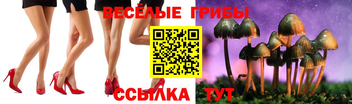 Псилоцибиновые грибы прущие грибы Камышлов
